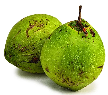 COCO VERDE