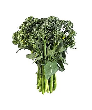 Imagem 2 do produto: BRÓCOLIS SELVAGEM/RAMOSO