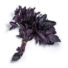 MANJERICAO ROXO - MACO