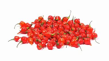 PIMENTA BIQUINHO - KG