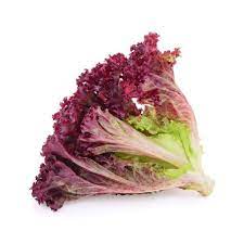 Imagem 2 do produto: ALFACE CRESPA ROXA - UN