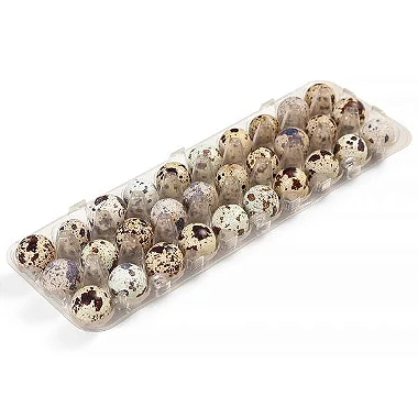 OVOS DE CODORNA - BANDEJA C/30