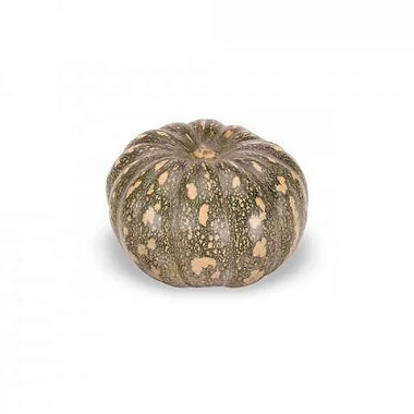 Imagem 2 do produto: ABÓBORA/JERIMUM - JACAREZINHO