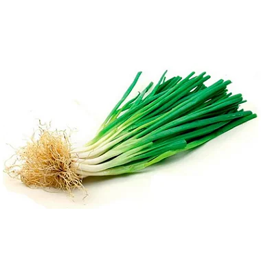 CEBOLINHA VERDE - KG