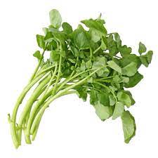 Imagem 2 do produto: AGRIÃO - KG