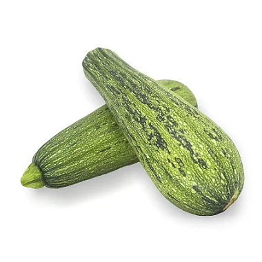 ABOBRINHA - PRIMEIRA