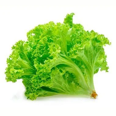 ALFACE CRESPA - EXTRA - KG