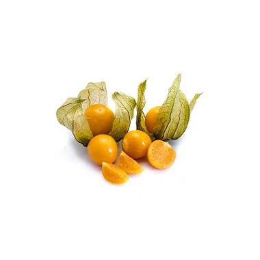Imagem 2 do produto: PHYSALIS / FISÁLIS - BANDEJA