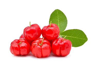 ACEROLA