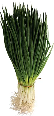 Imagem 2 do produto: CEBOLINHA VERDE - KG