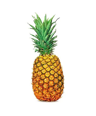 ABACAXI PEROLA - PEQUENO - UNIDADE