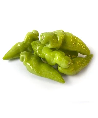 Imagem 2 do produto: PIMENTA DE CHEIRO - KG