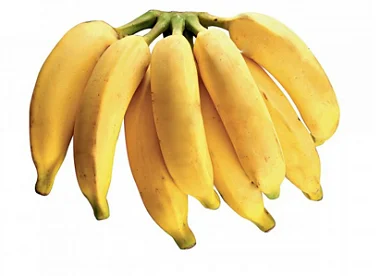 Imagem 1 do produto: BANANA PACOVAN