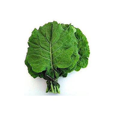 Imagem 2 do produto: COUVE MANTEIGA - MAÇO