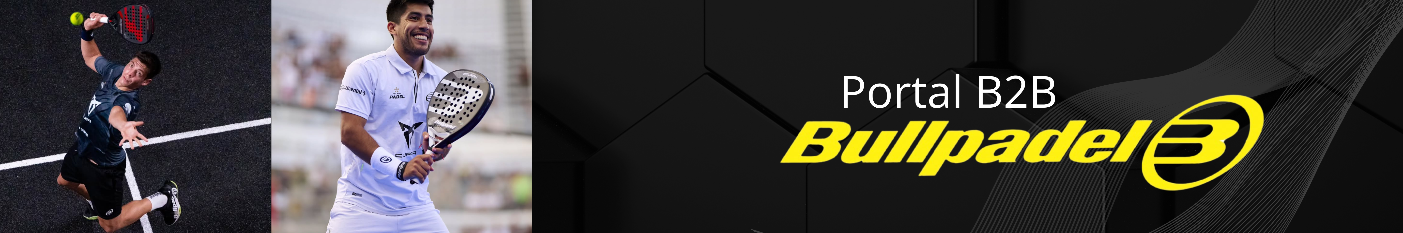 Banner principal