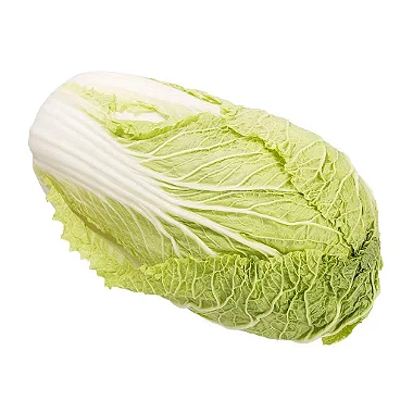 Imagem 2 do produto: ACELGA/HAKUSAI